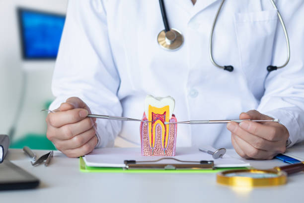 Best Emergency Tooth Extraction in Swede Heaven, WA